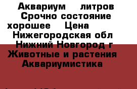 Аквариум 80 литров.Срочно,состояние хорошее. › Цена ­ 3 700 - Нижегородская обл., Нижний Новгород г. Животные и растения » Аквариумистика   